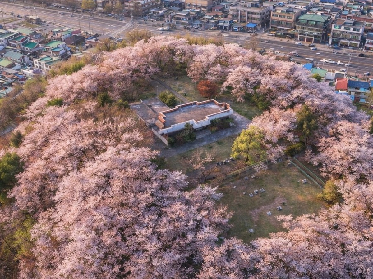 테미공원