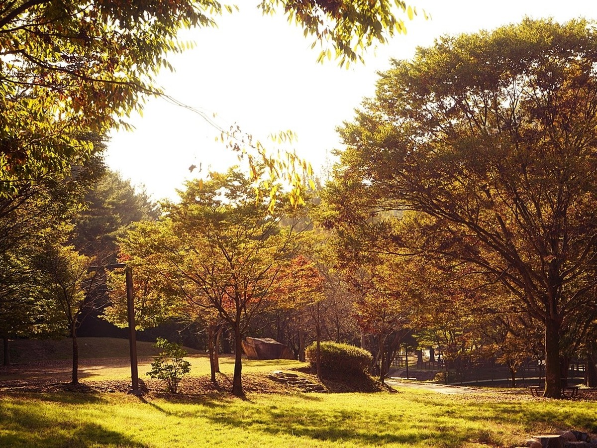 사정공원