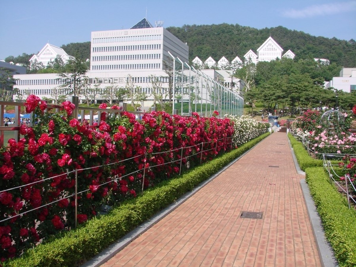 조선대학교 장미원