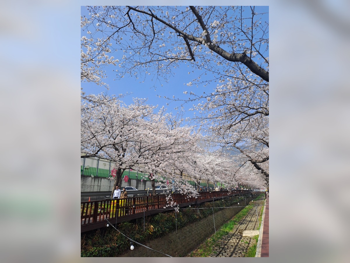 Yeojwacheon Romance Bridge