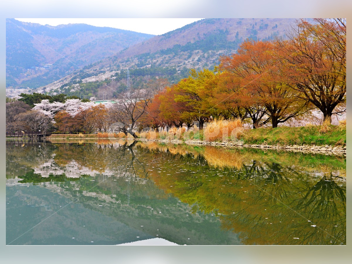 Jinhae Inland Water Environment Ecological Park