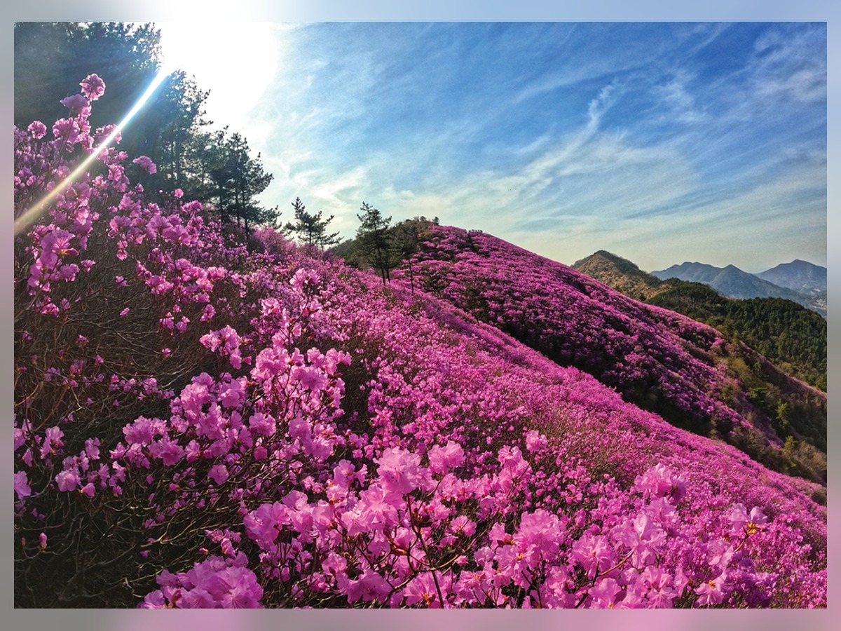 천주산