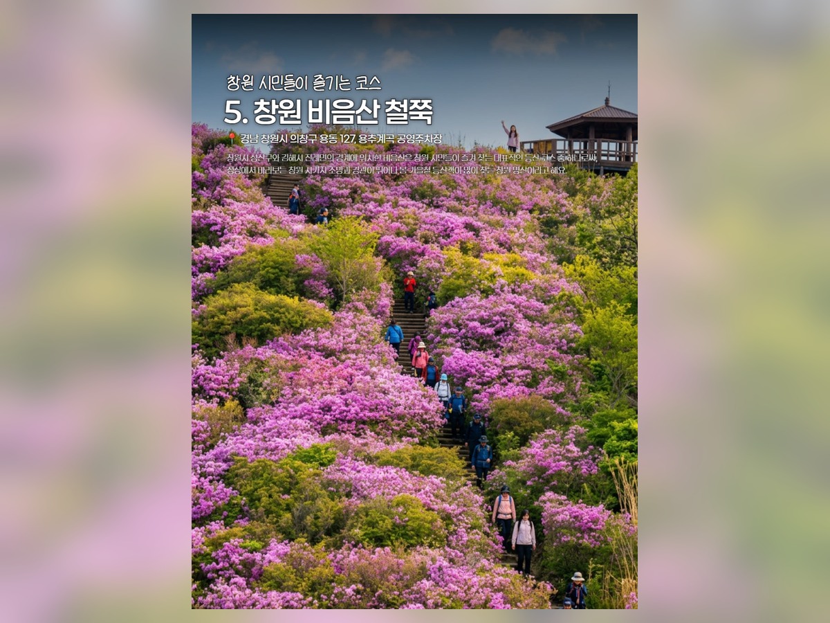 비음산