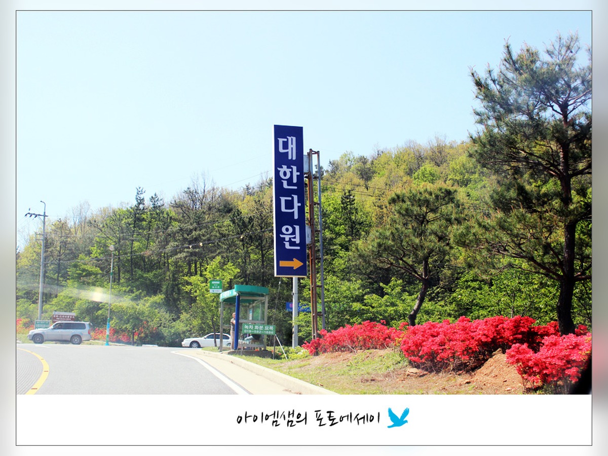 대한다원 본사
