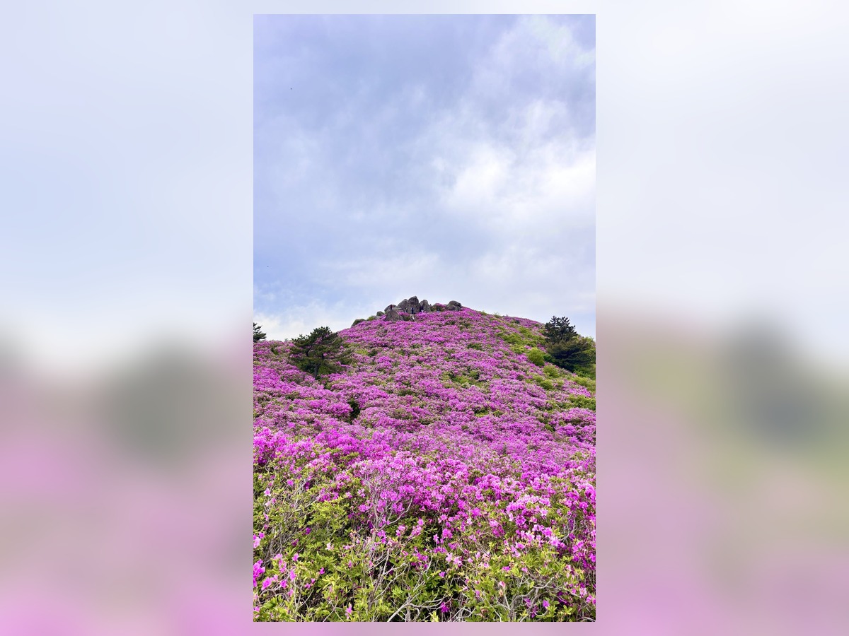 초암산