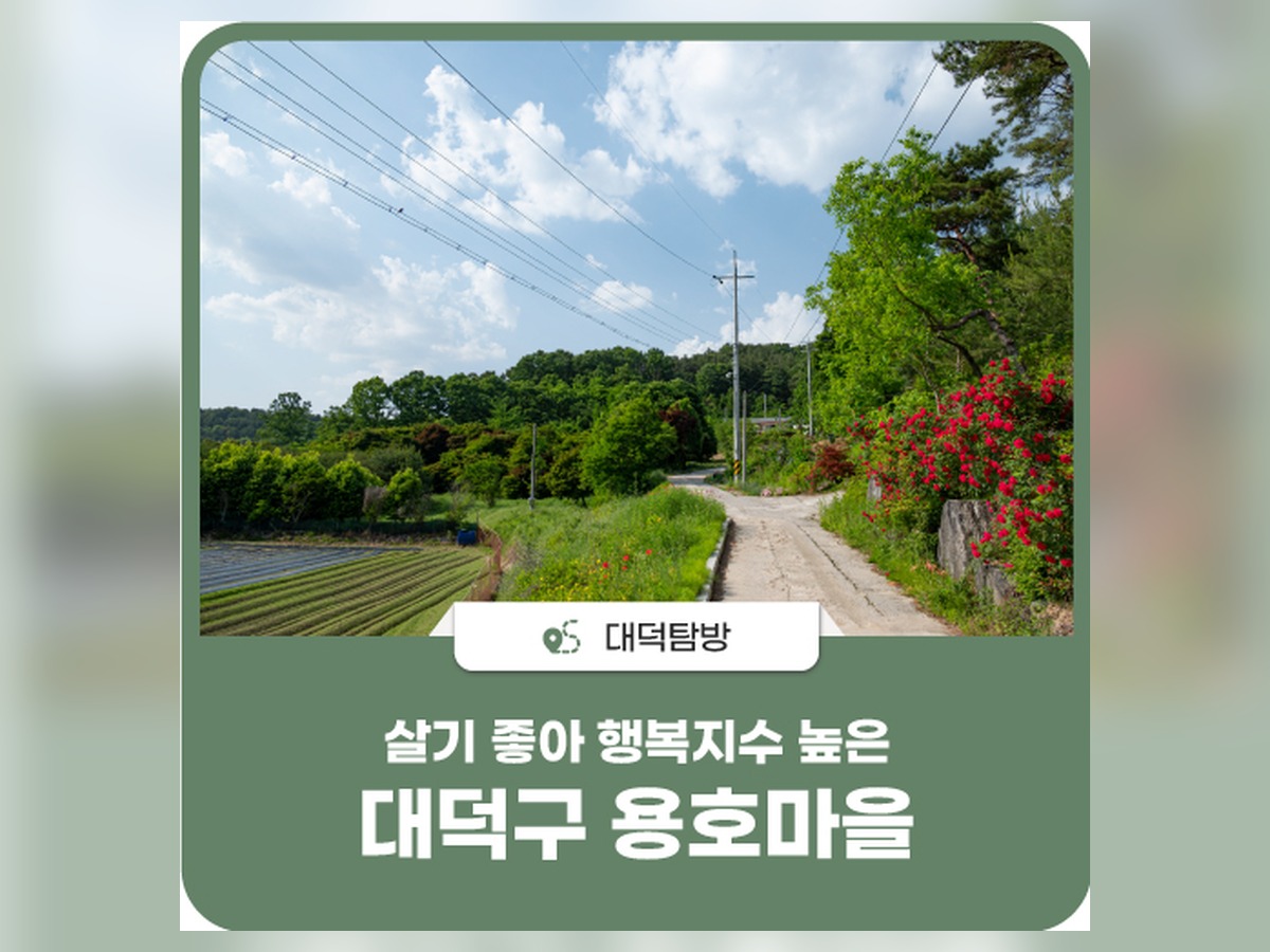 호동