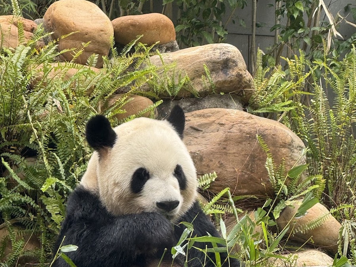 석배만교외공원