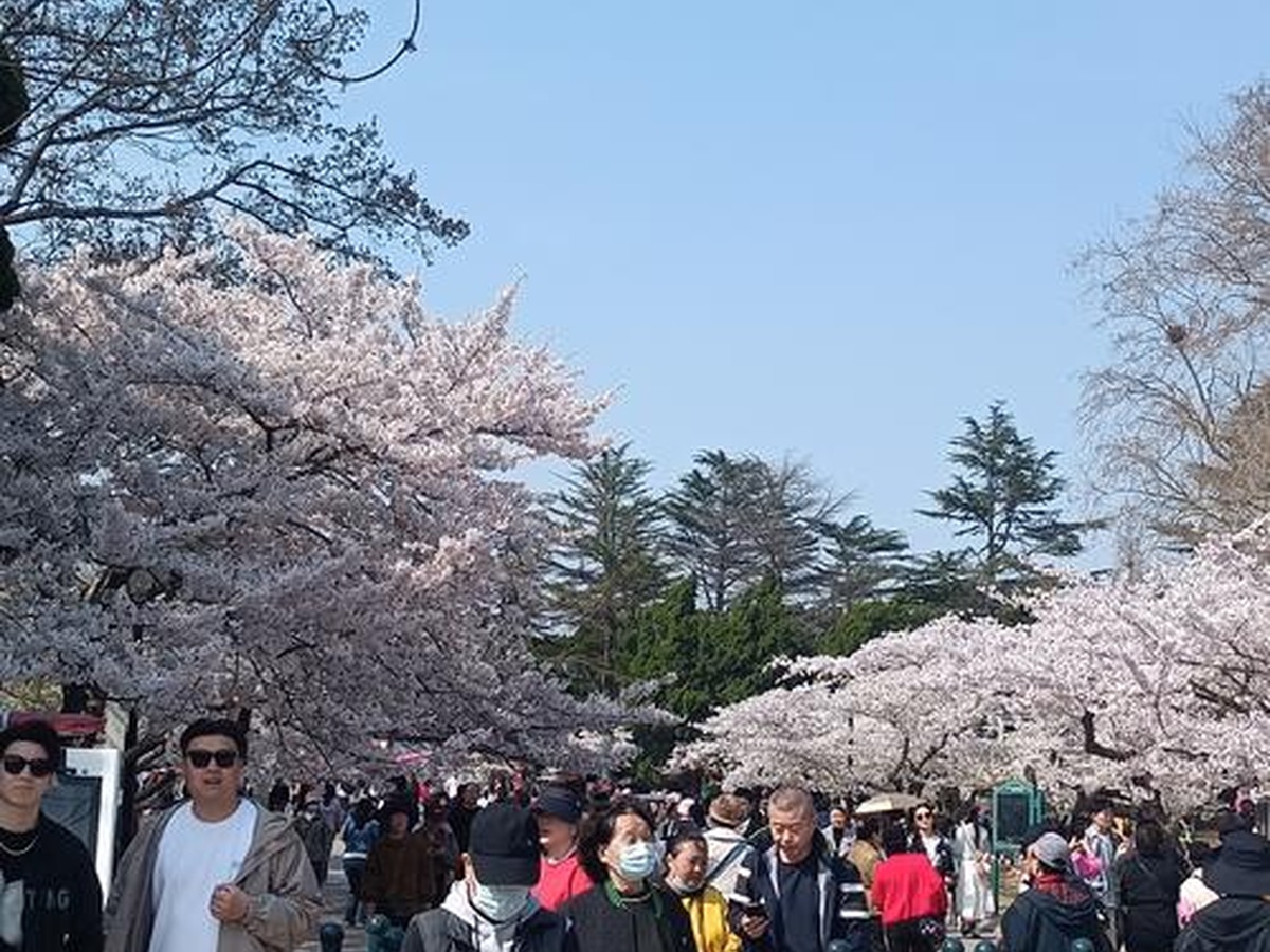 칭다오중산공원