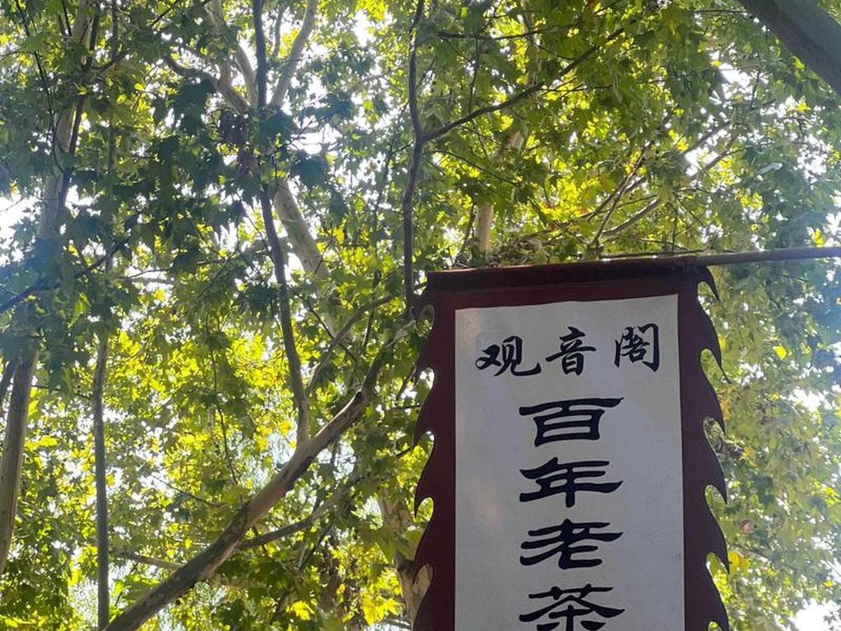 펑전관인거라오차관