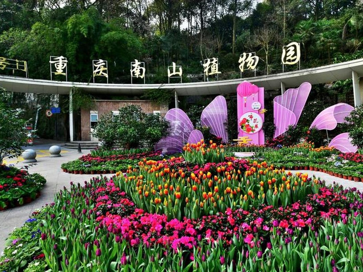 Nanshan Botanical Garden