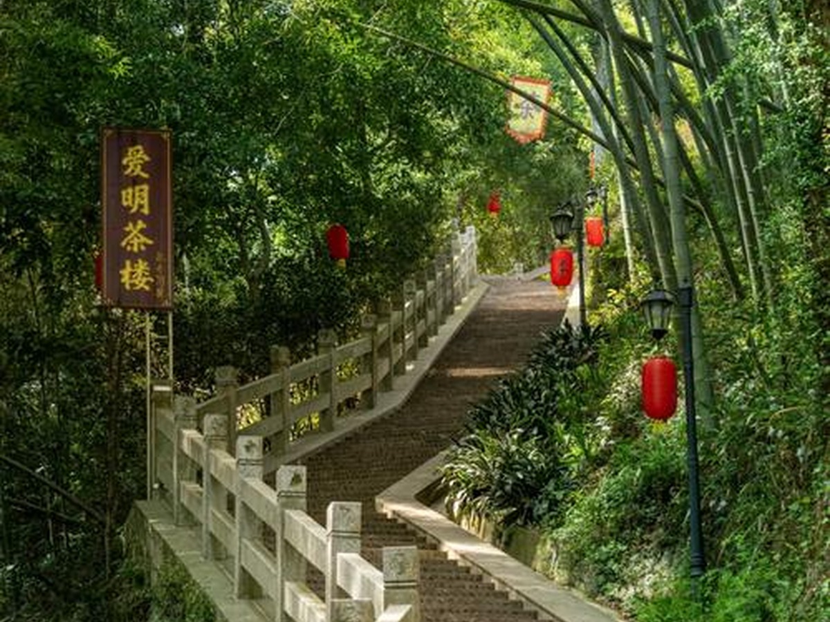 Longjing Village