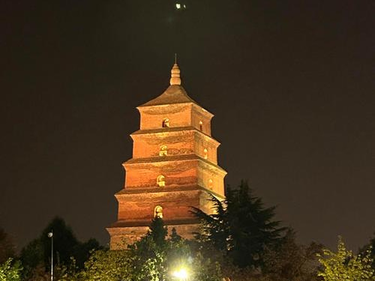 대자은사 남광장