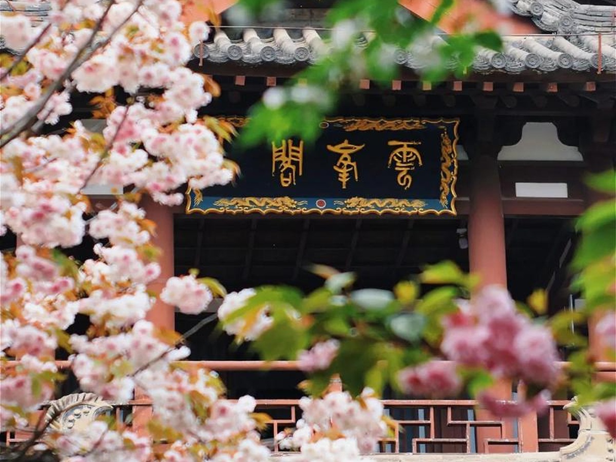 청룡사