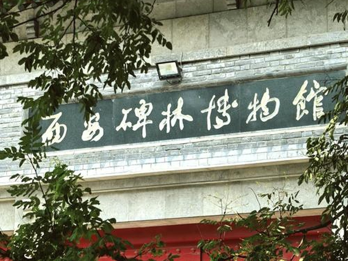 시안비림박물관