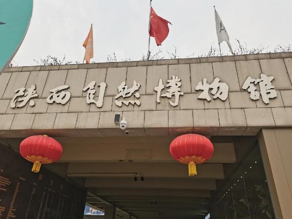 섬서자연박물관