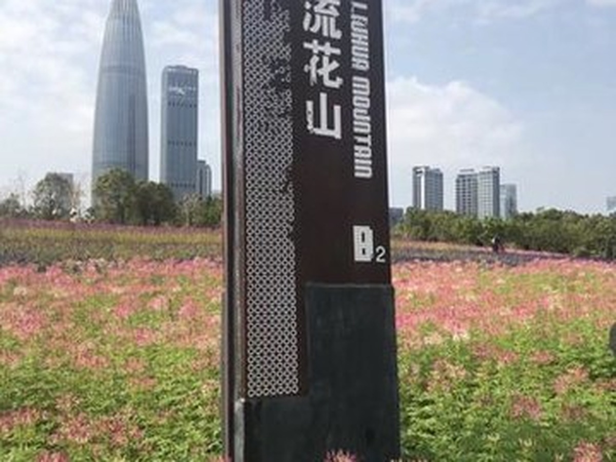 선전만공원 류화산