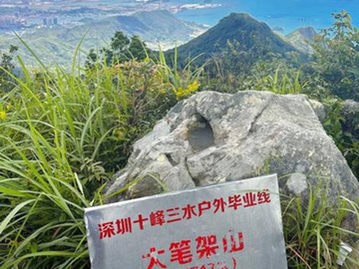 비자산공원 전망대