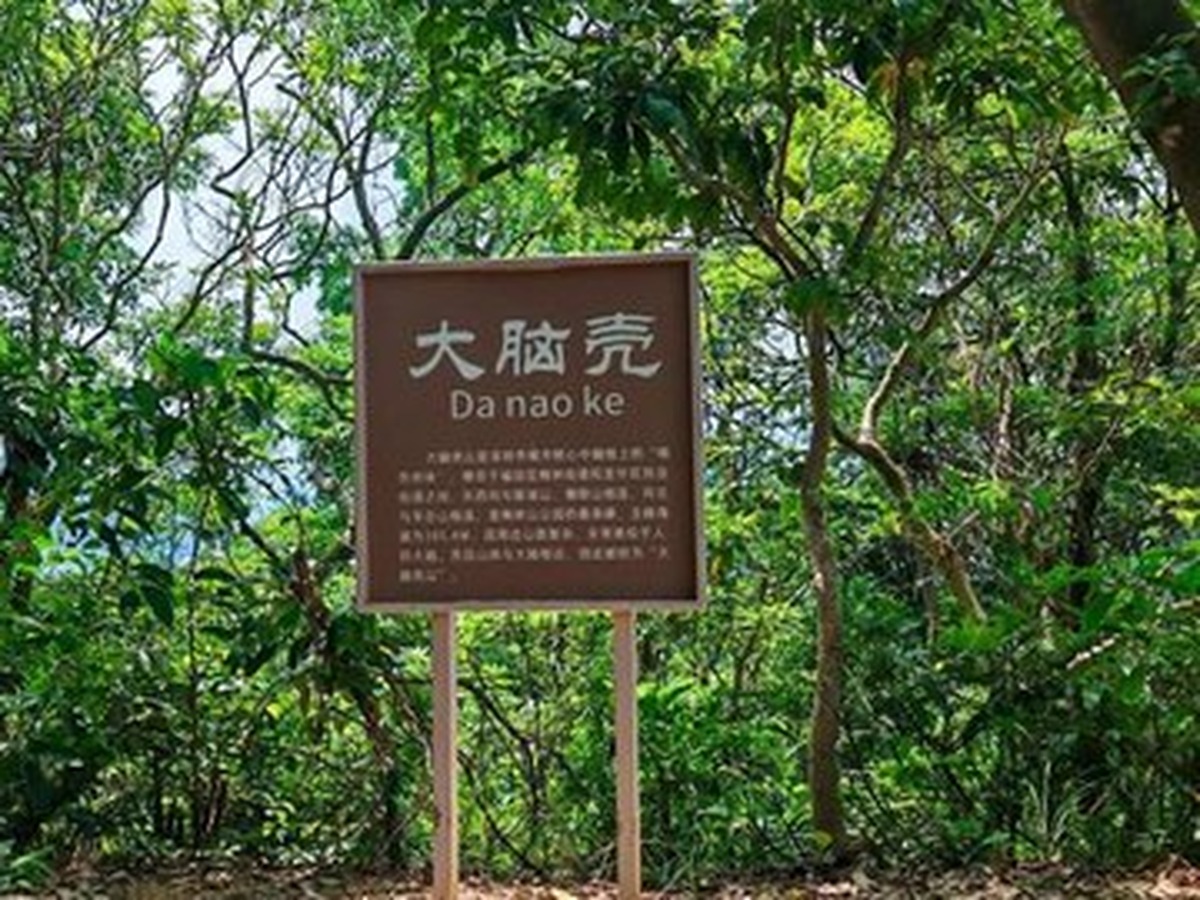 메이린산 다나오커