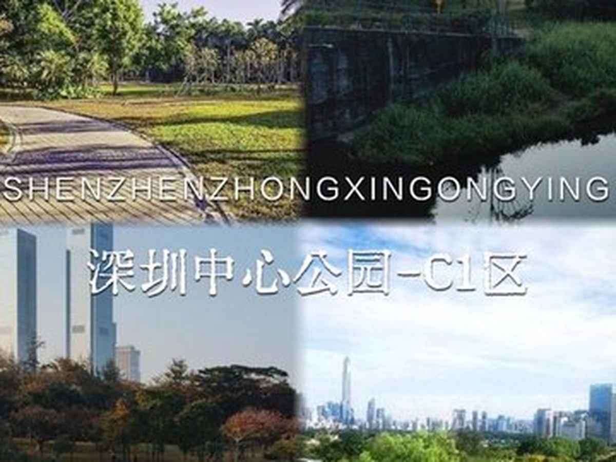 선전중심공원 C2구역