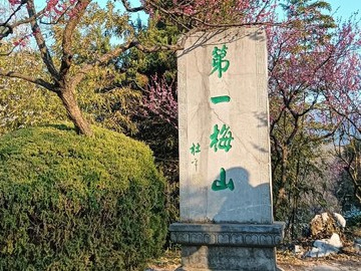 메이화산