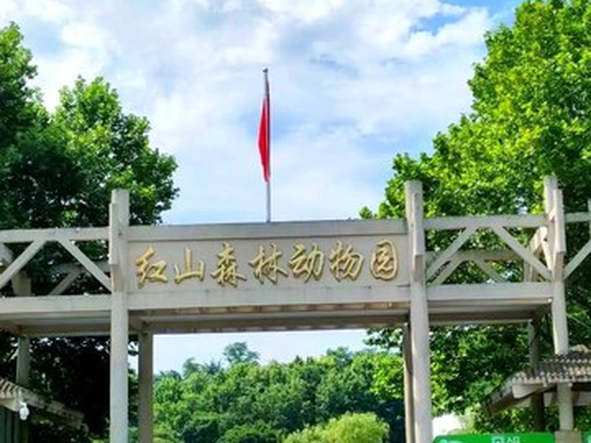 홍산삼림동물원