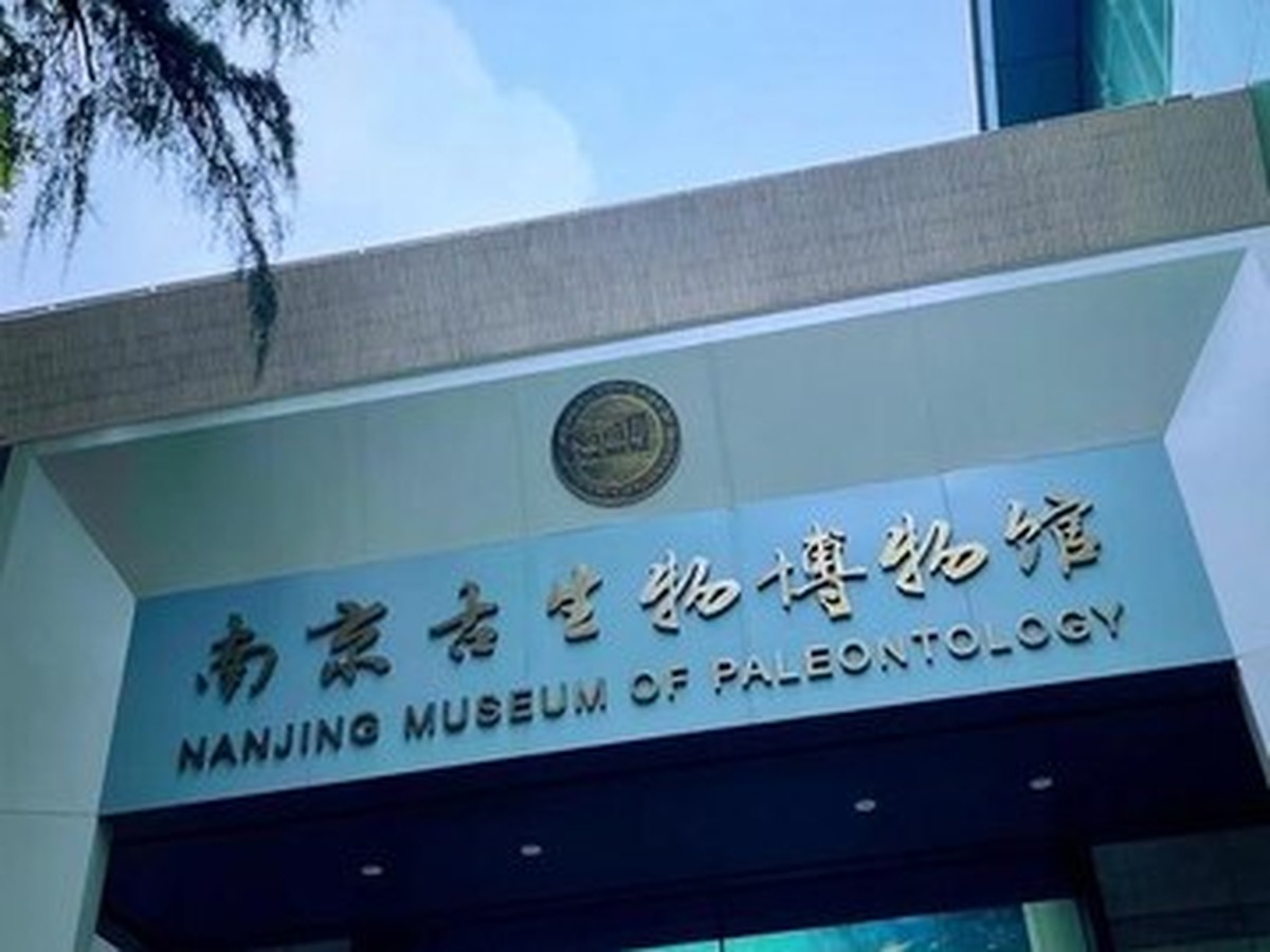 난징고생물박물관