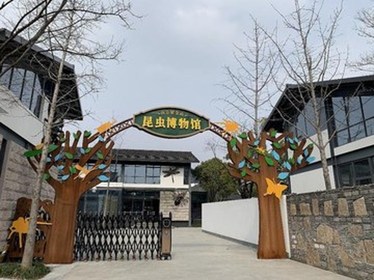 쯔진산 곤충박물관