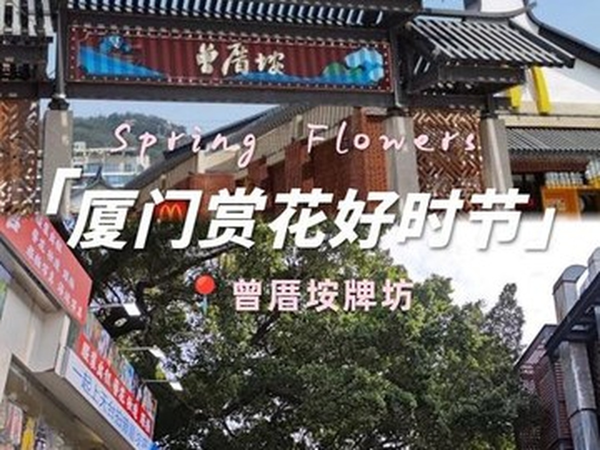 쩡춰안