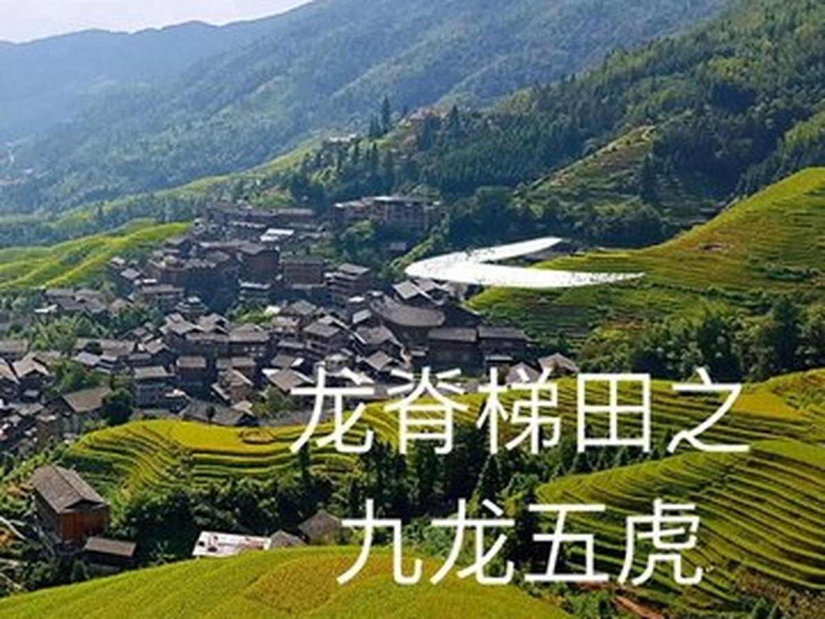 구룡오호 전망대