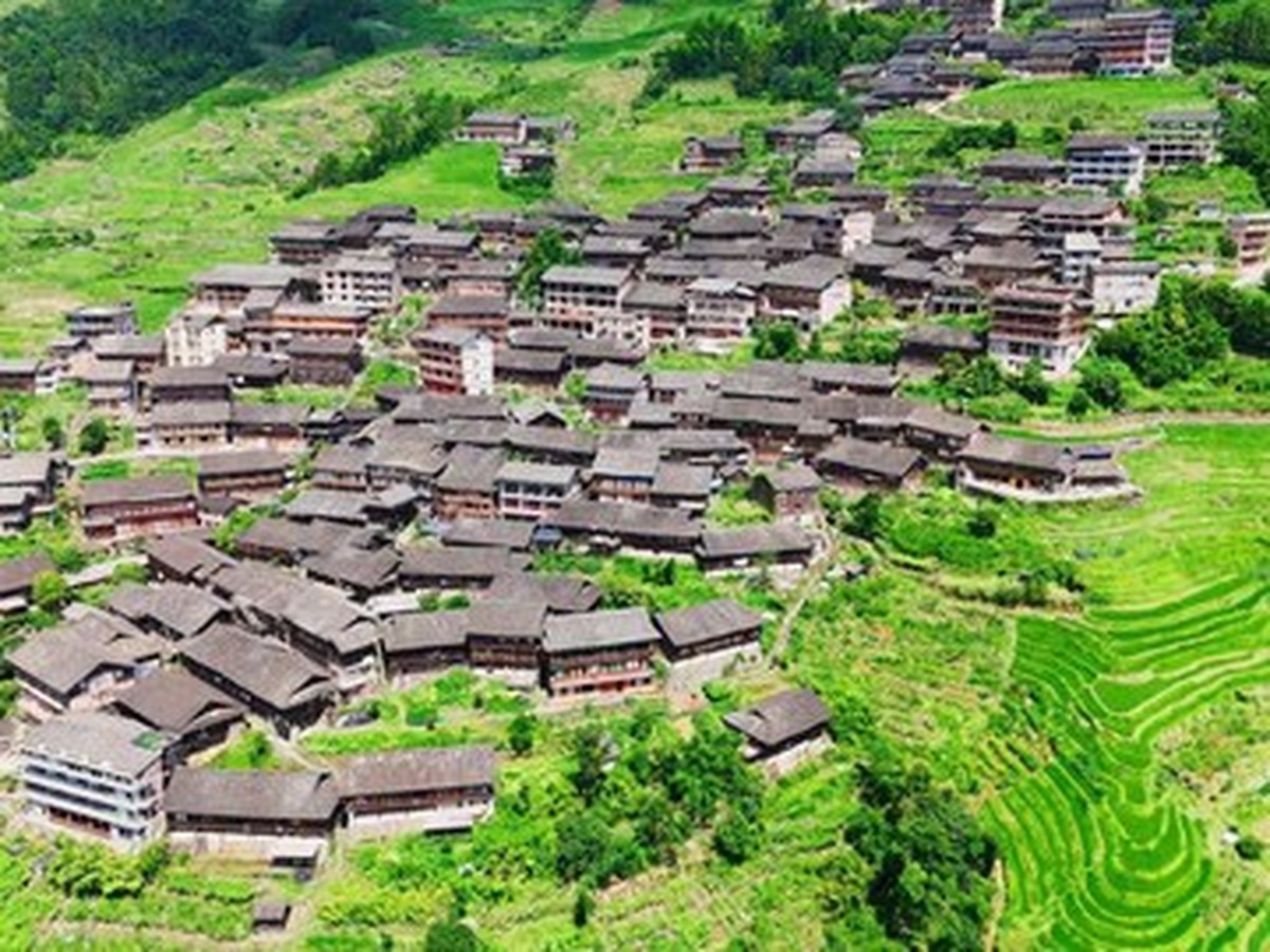 룽지 고장자이