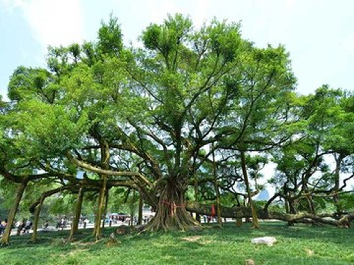 대용수경구