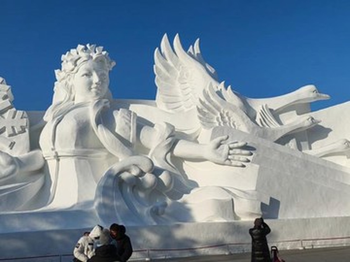 태양도 국제설조예술박람회