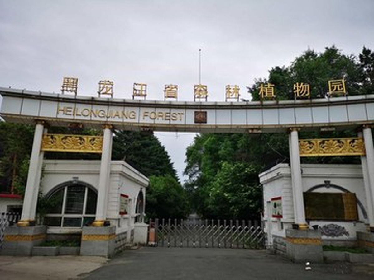 헤이룽장성 삼림식물원
