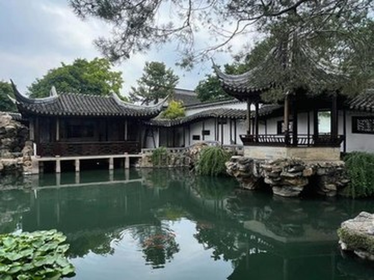 망사원