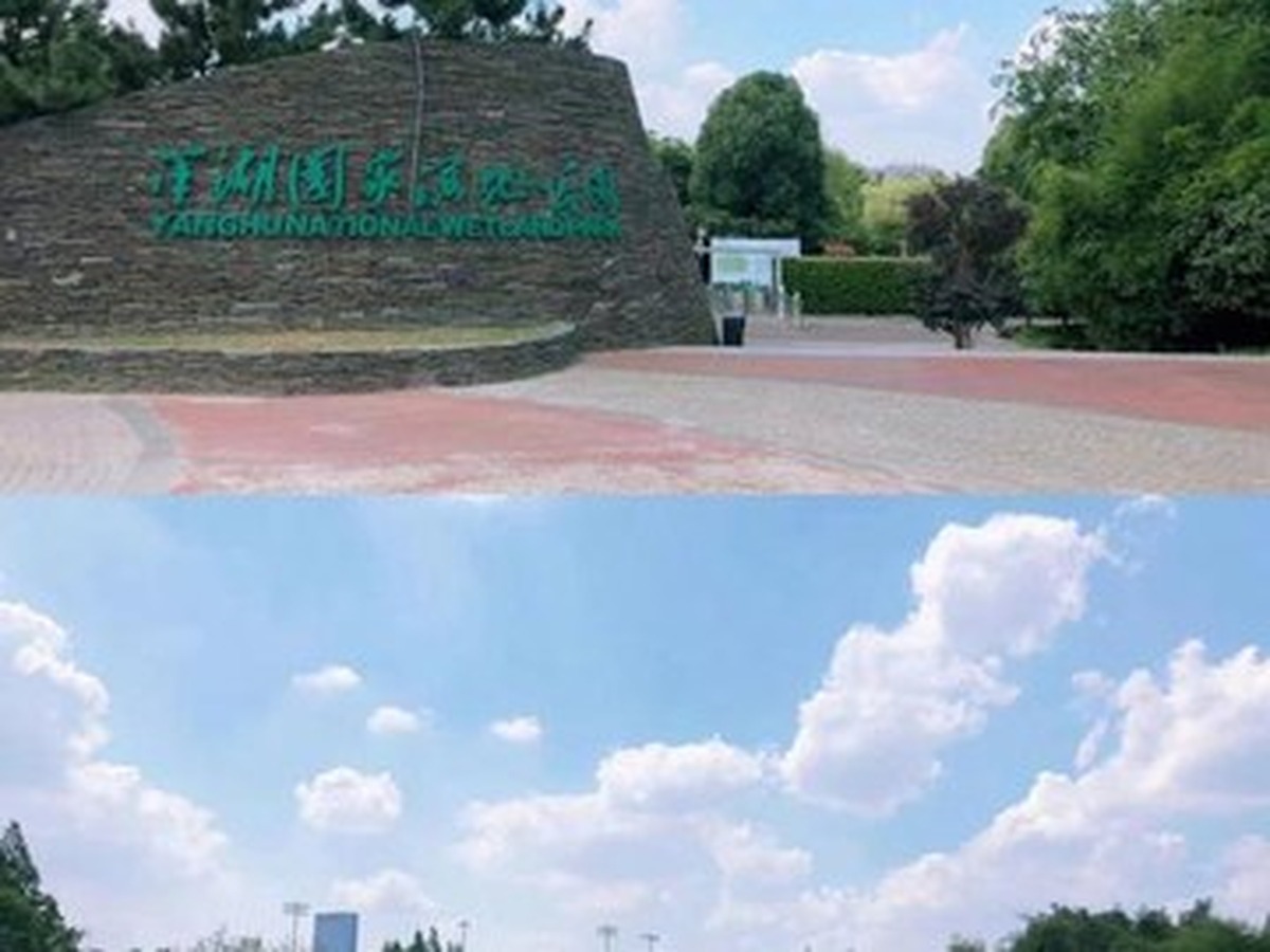 양후국가습지공원