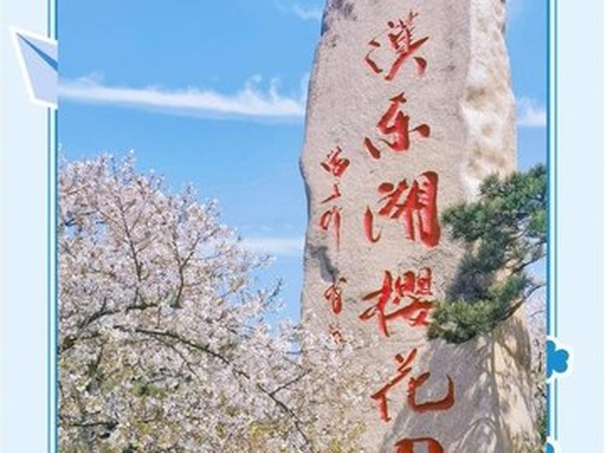 둥후벚꽃원