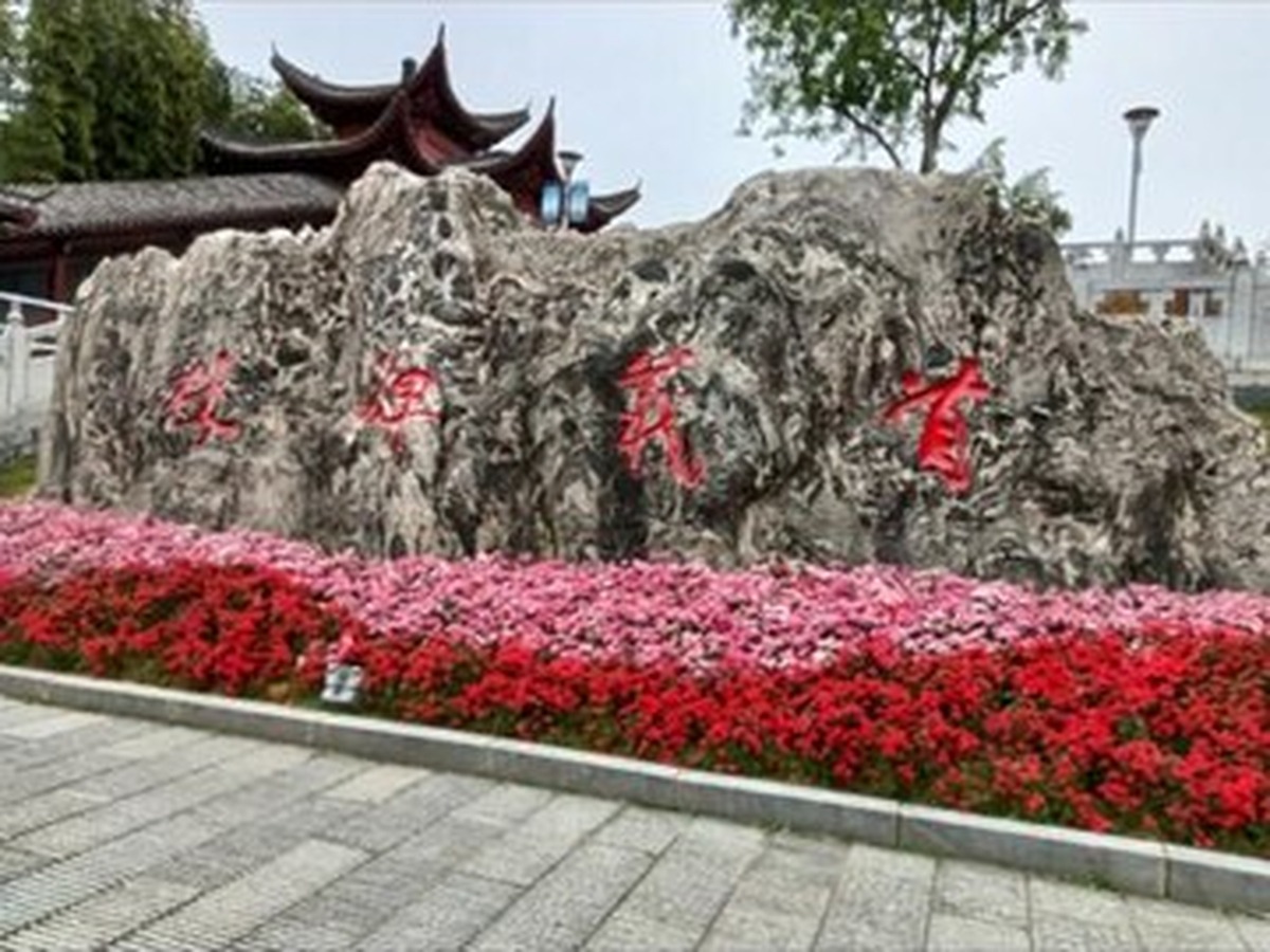 수의비림