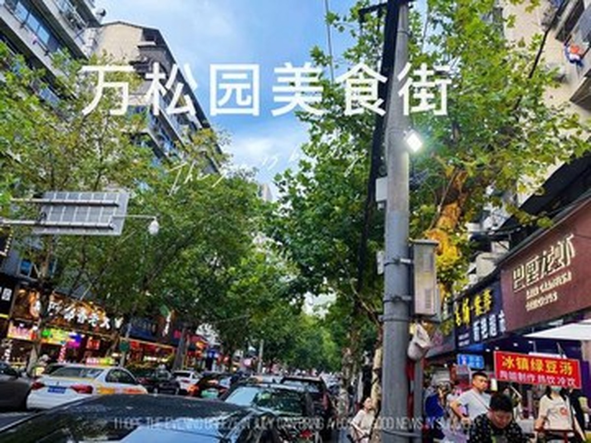 완쑹위안 음식거리