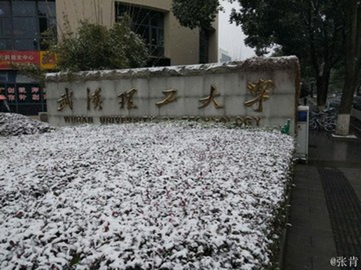 우한이공대 마팡산캠퍼스