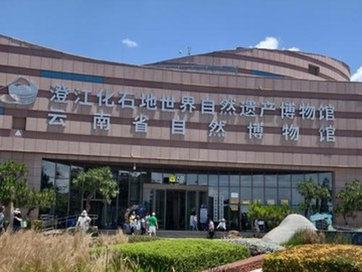윈난성청장화석지자연박물관