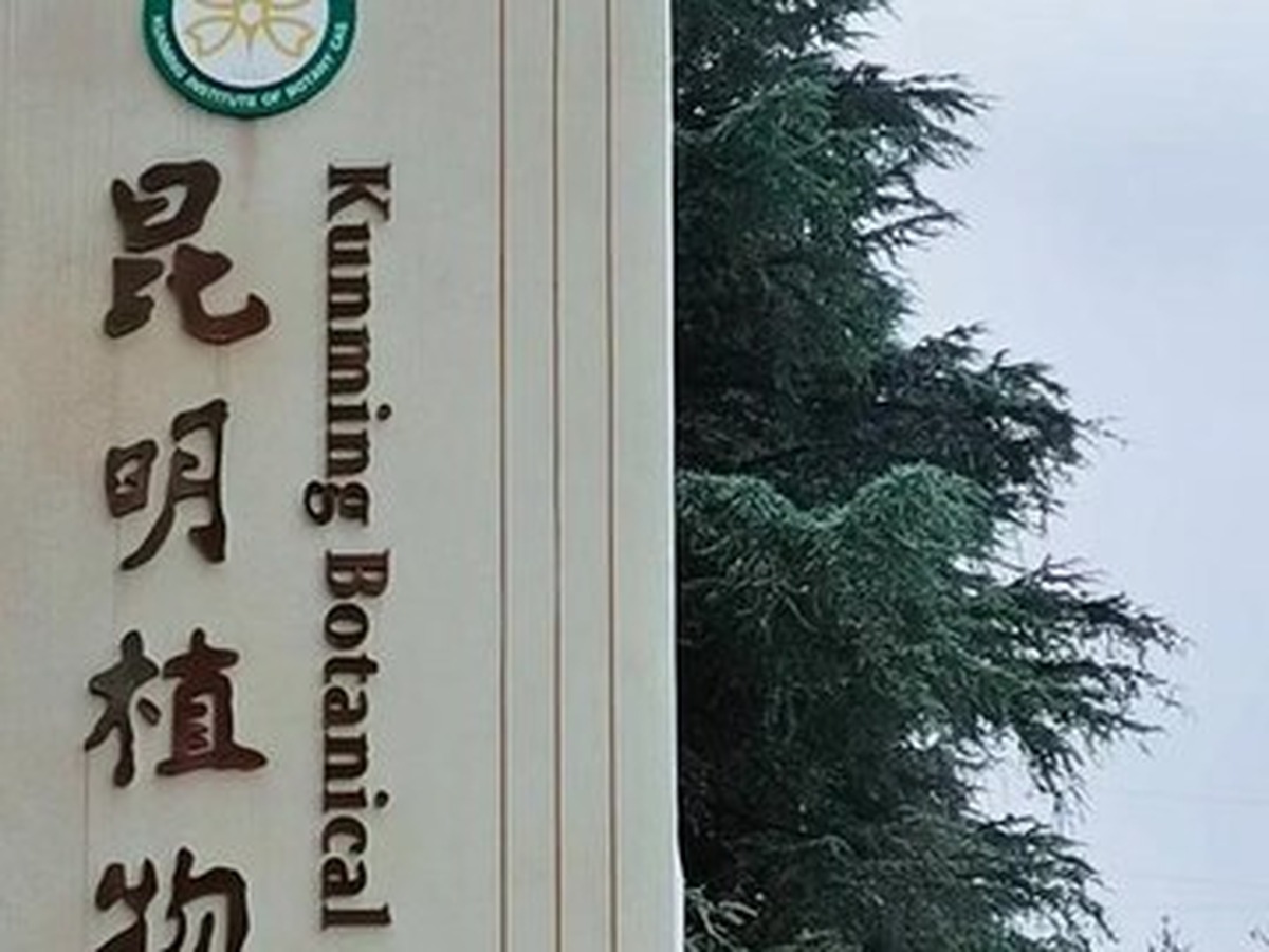 쿤밍식물원