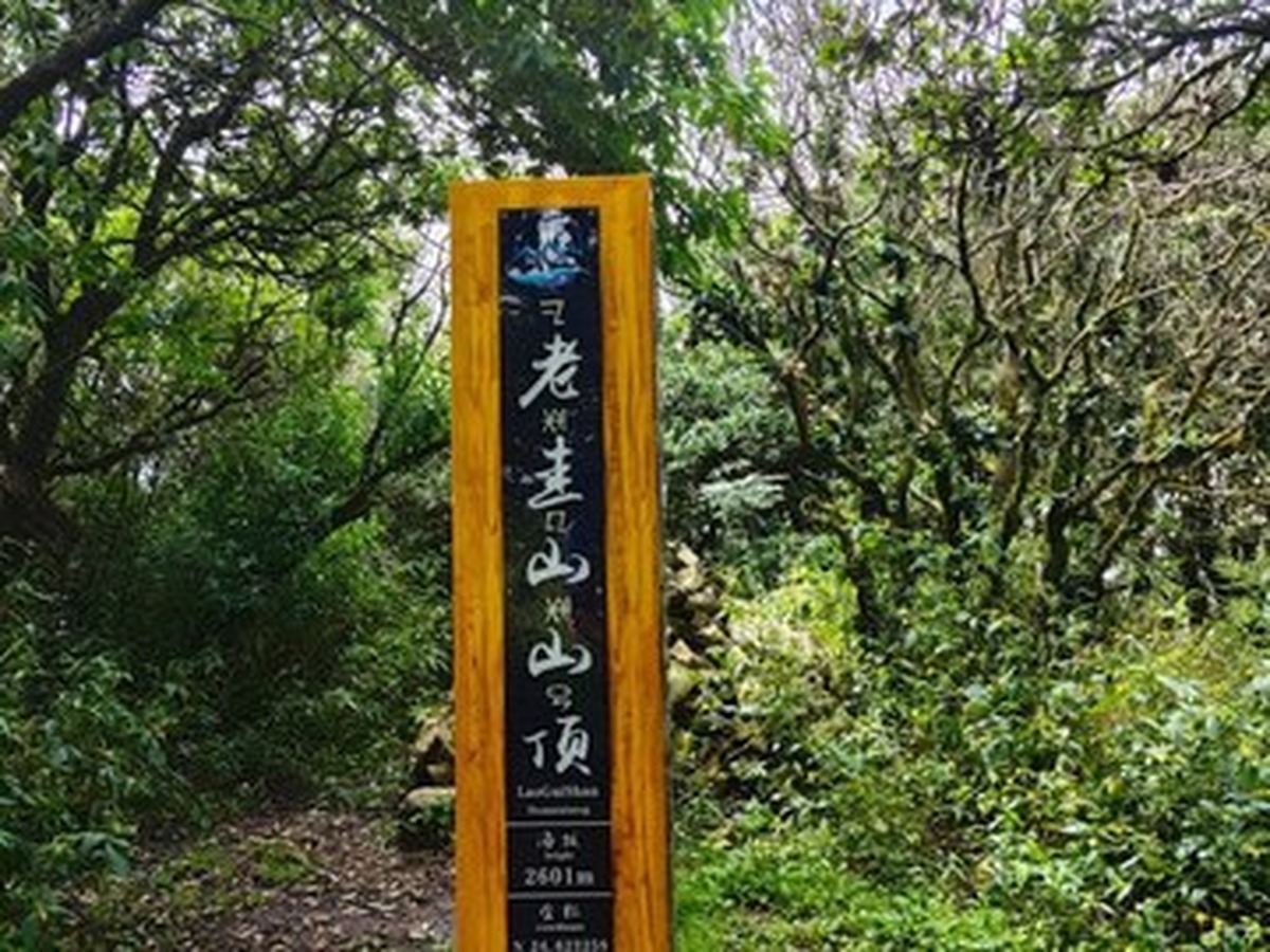 구이산 국가삼림공원