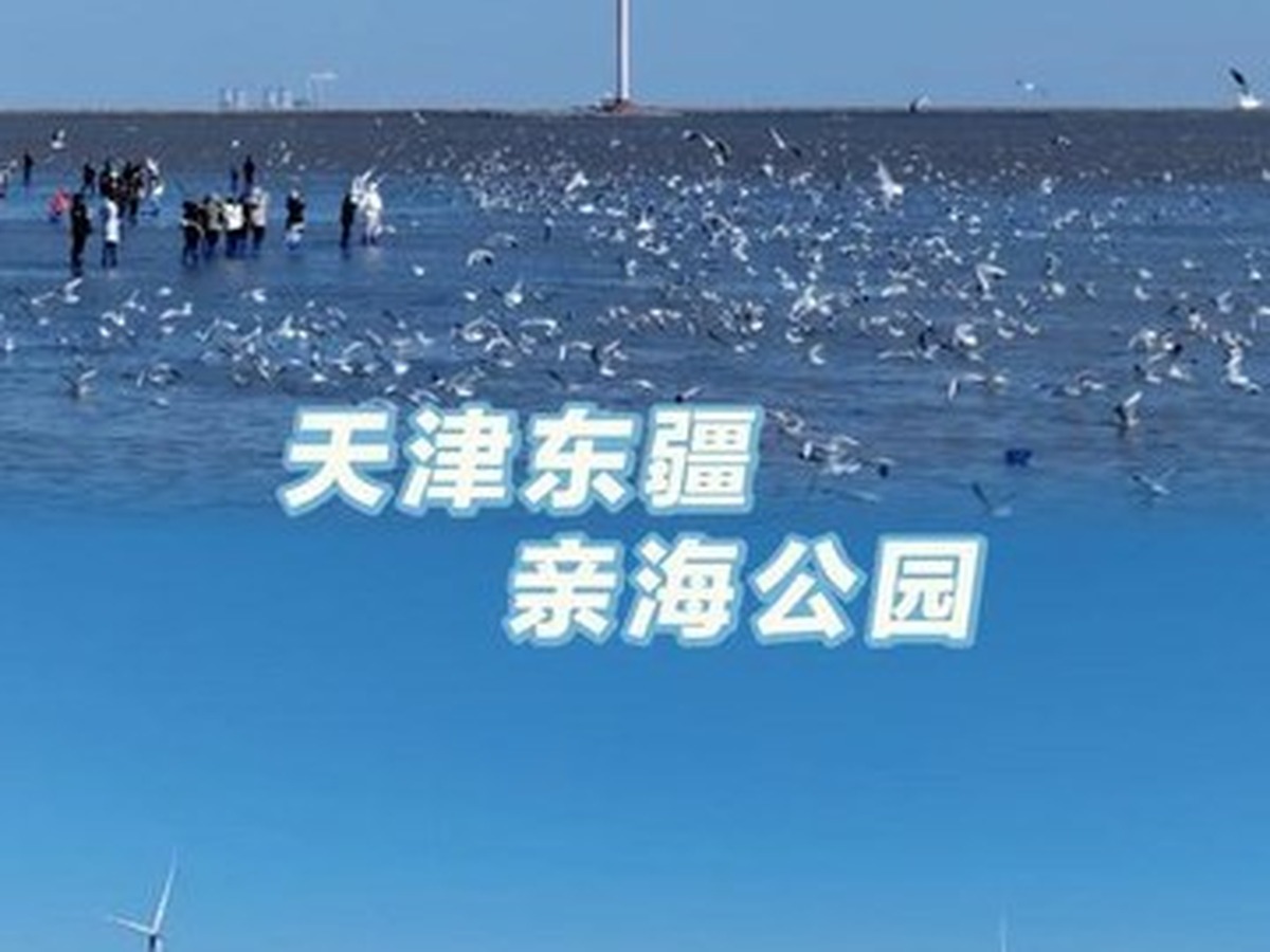 동장친해공원